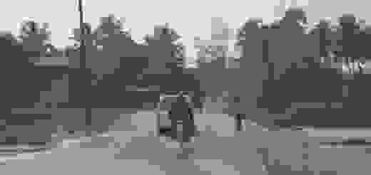 rains